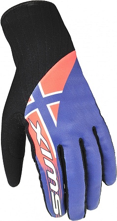 Одежда Мужские перчатки SWIX Triac Pro  | Купить в Интернет-магазине | Цена 1 690 руб.