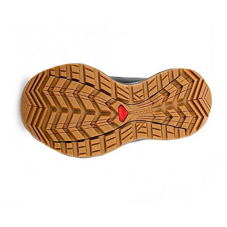 Мужские трекинговые ботинки SALOMON KAIPO CS WP 2 L39059000  | Купить в Интернет-магазине | Цена 