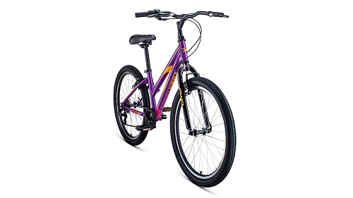 Велосипеды Велосипед Forward IRIS 24 1.0 (2020)  | Купить в Интернет-магазине | Цена 16 140 руб.